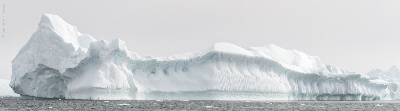 Antarctica - January 2017