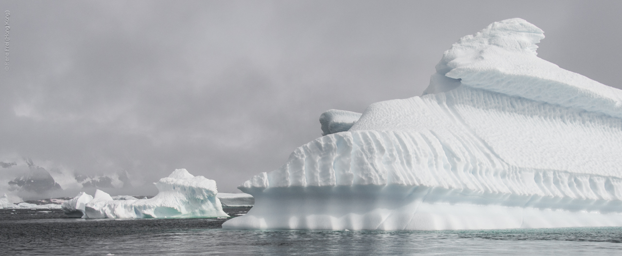 Antarctica - January 2017