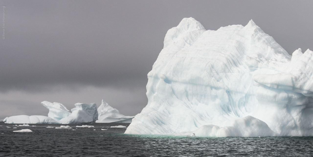 Antarctica - January 2017