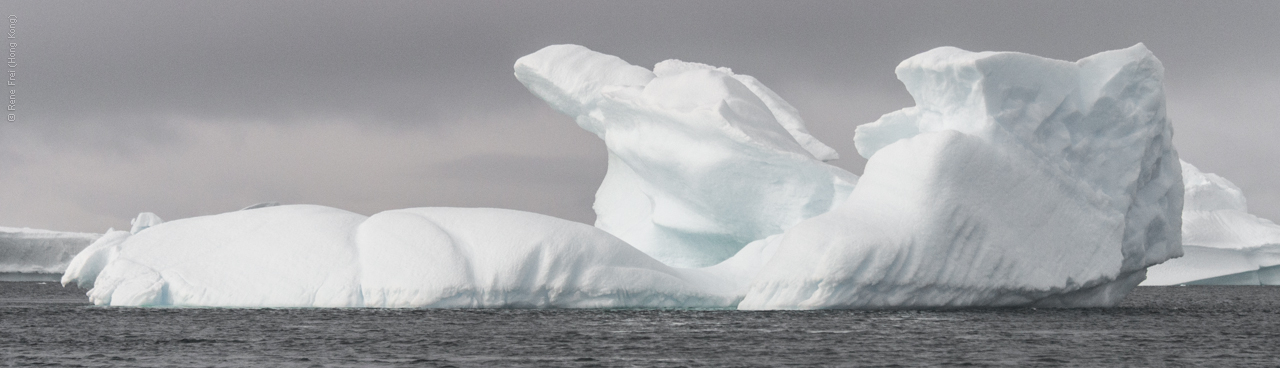 Antarctica - January 2017