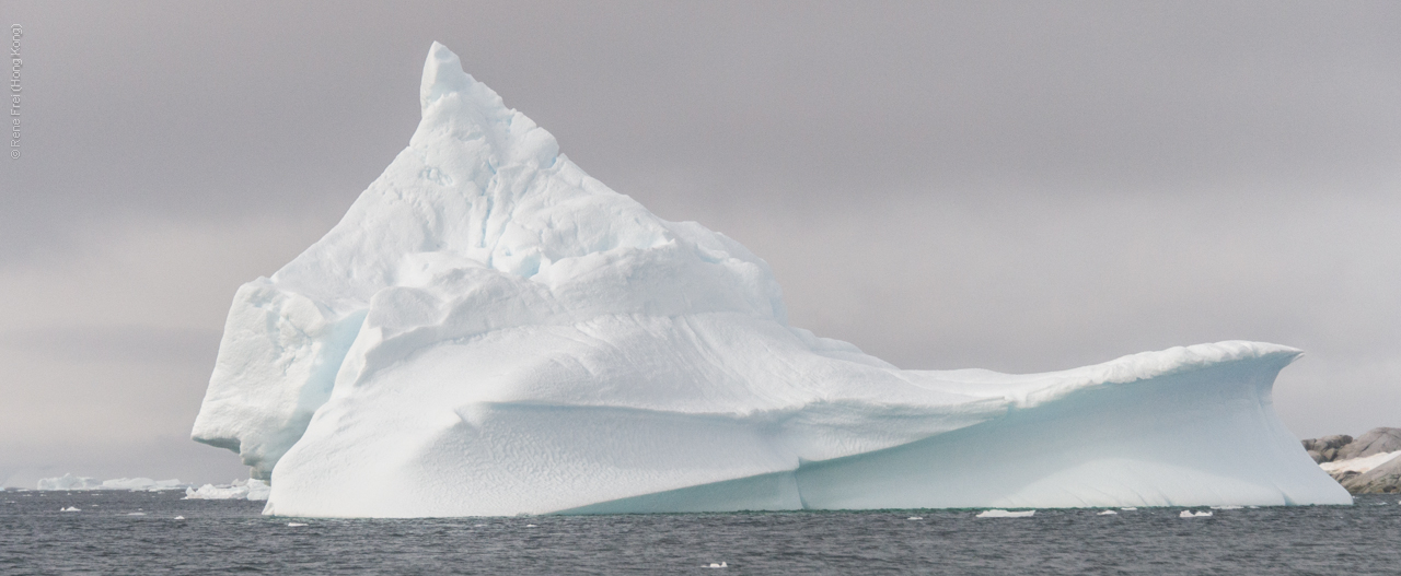 Antarctica - January 2017