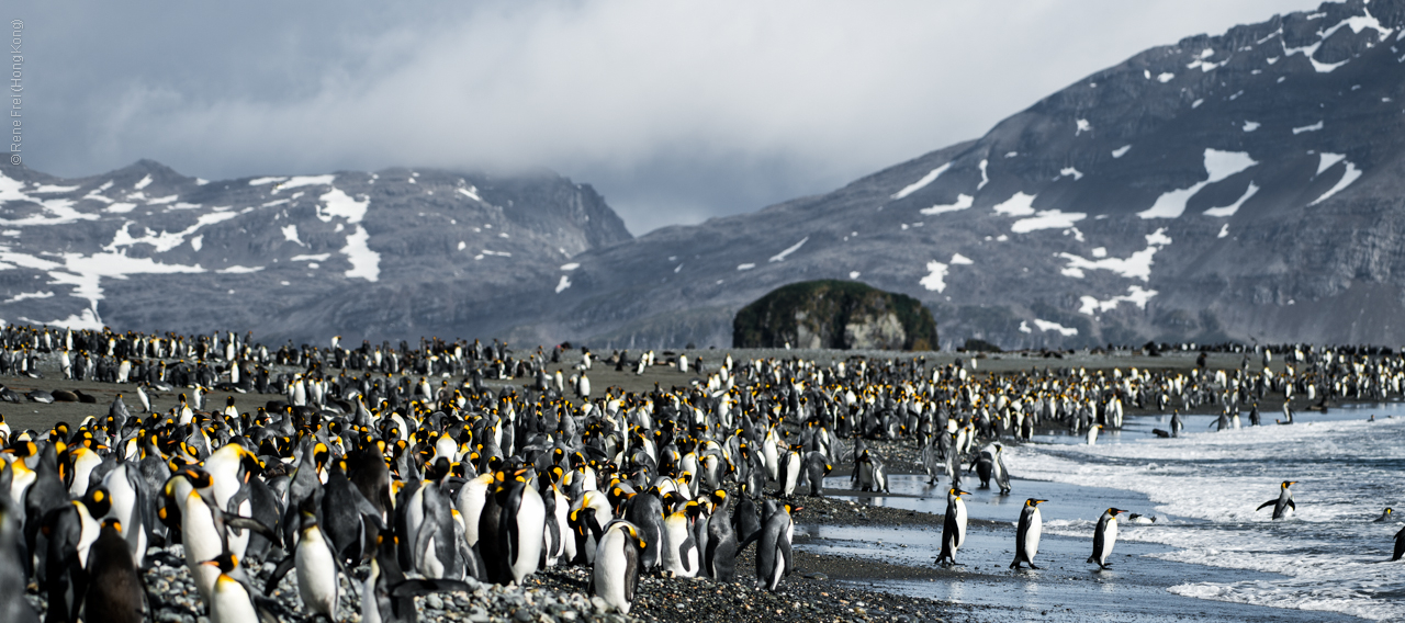 Antarctica - January 2017