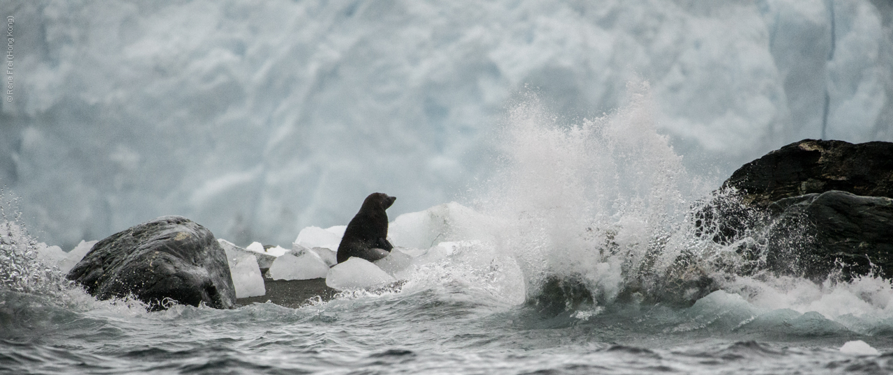 Antarctica - January 2017