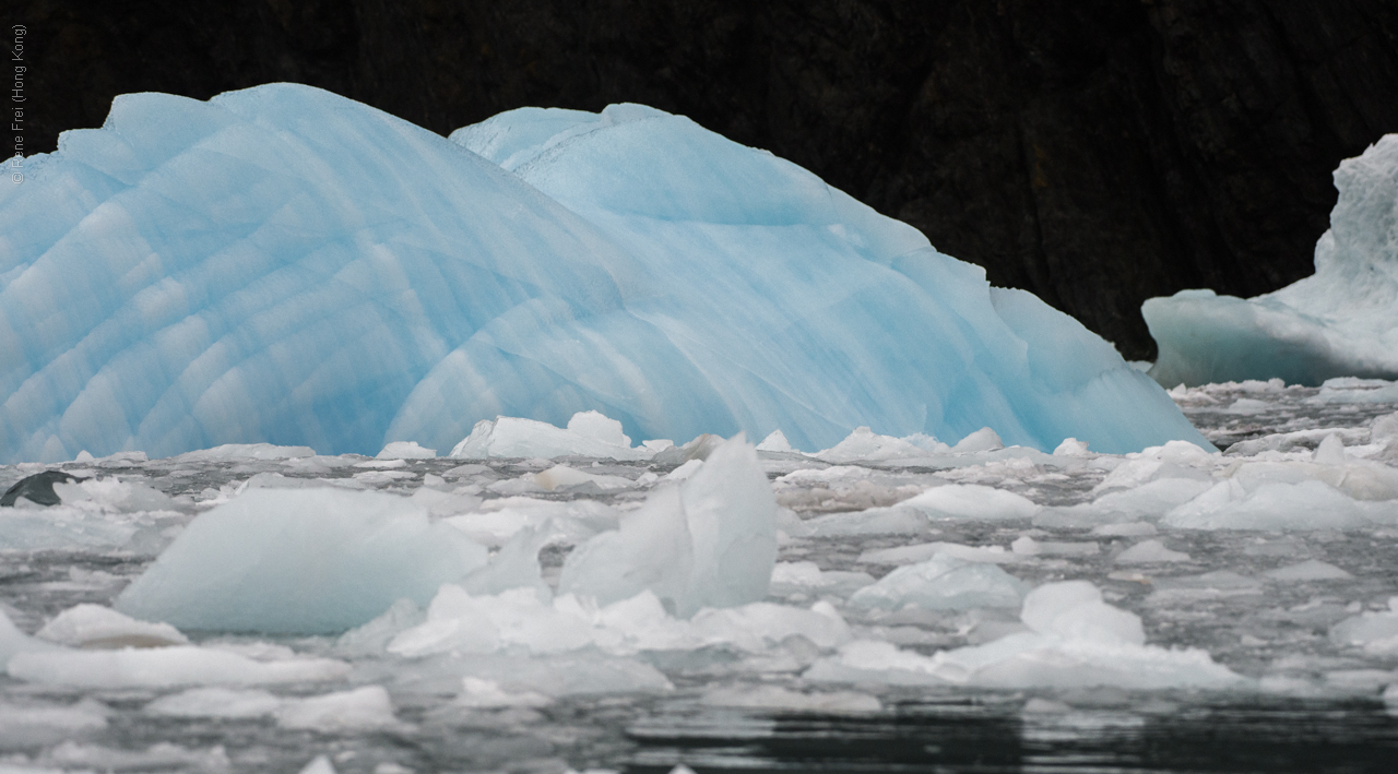 Antarctica - January 2017