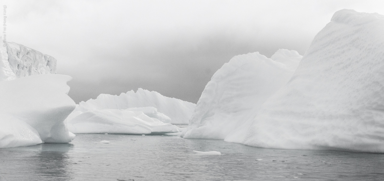 Antarctica - January 2017