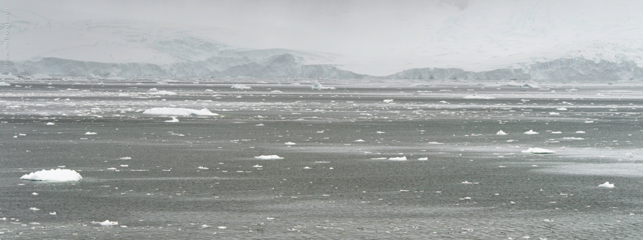 Antarctica - January 2017