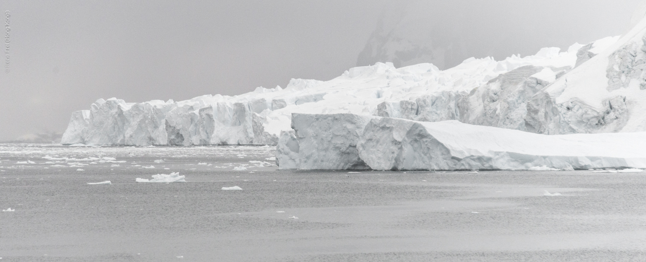 Antarctica - January 2017