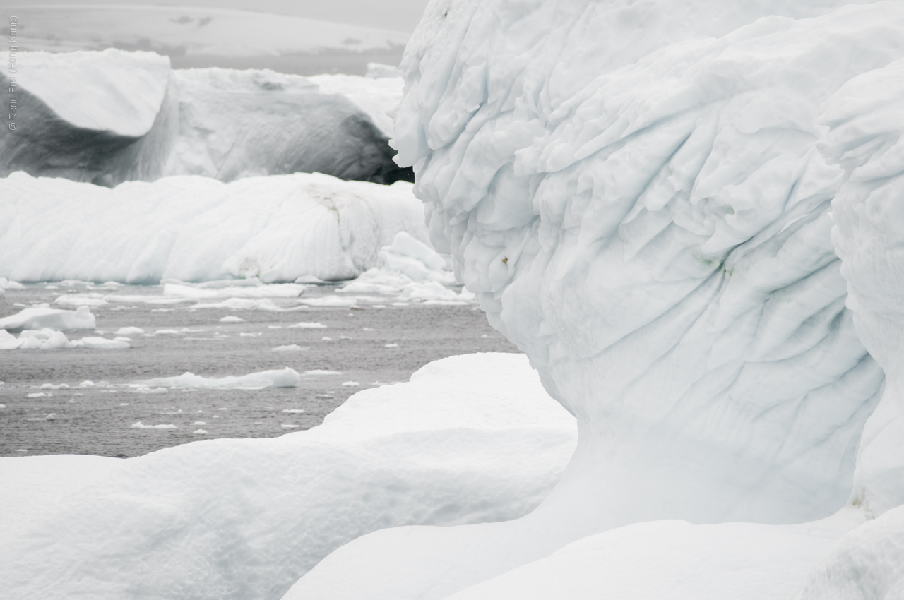 Antarctica - January 2017