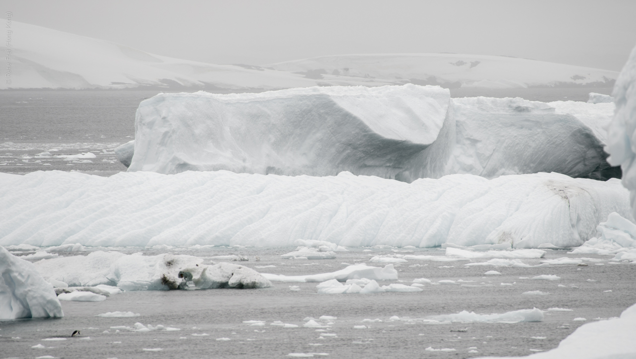 Antarctica - January 2017