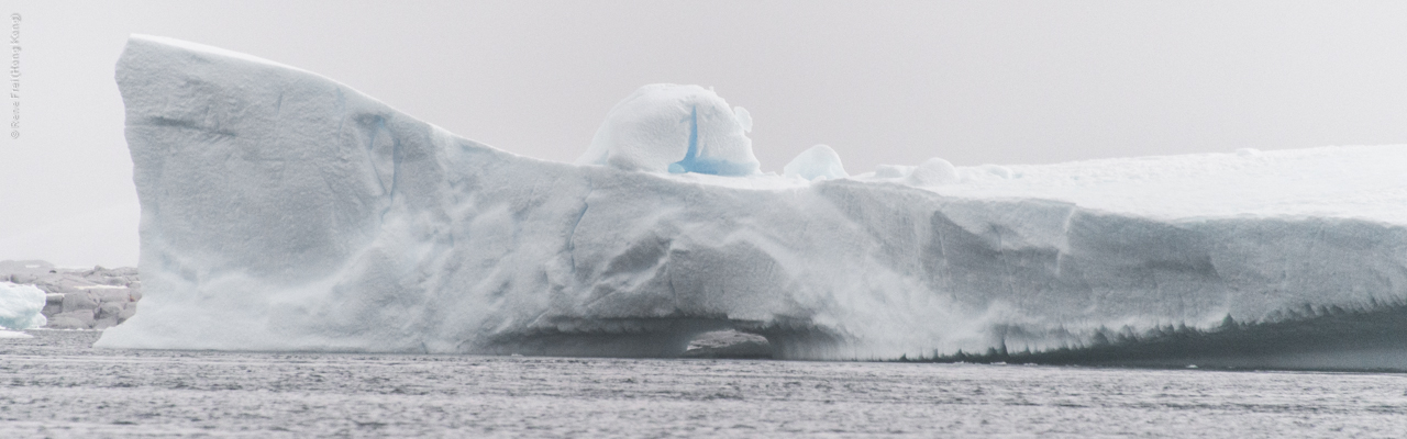 Antarctica - January 2017