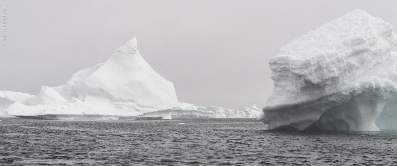 Antarctica - January 2017