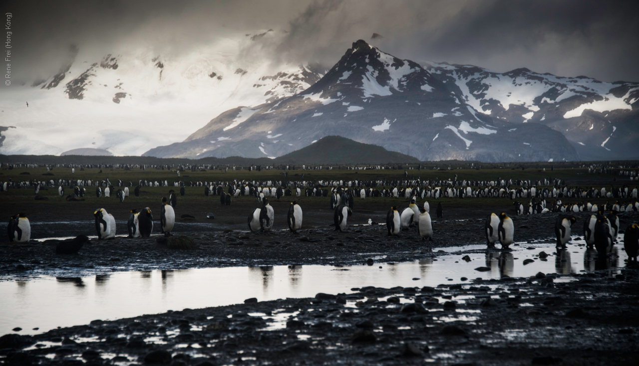 Antarctica - January 2017