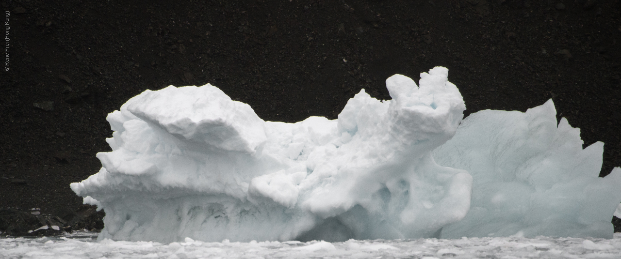 Antarctica - January 2017