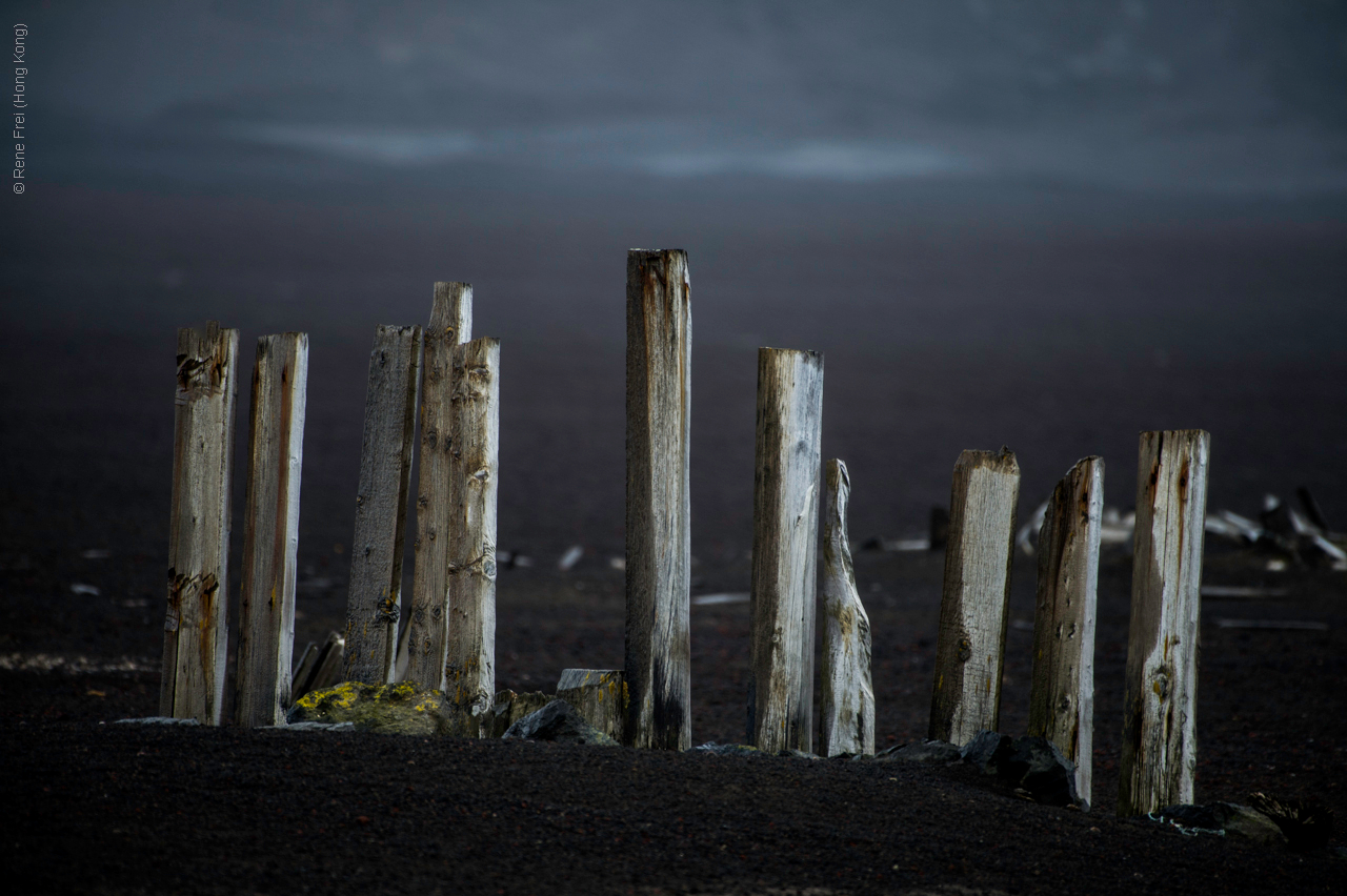 Antarctica - January 2017