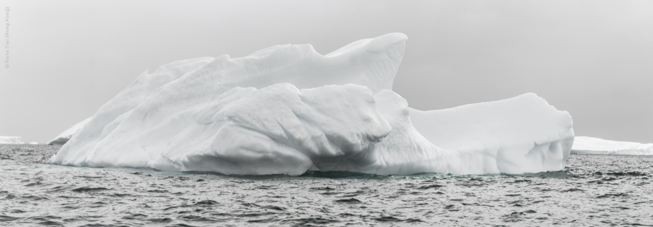 Antarctica - January 2017