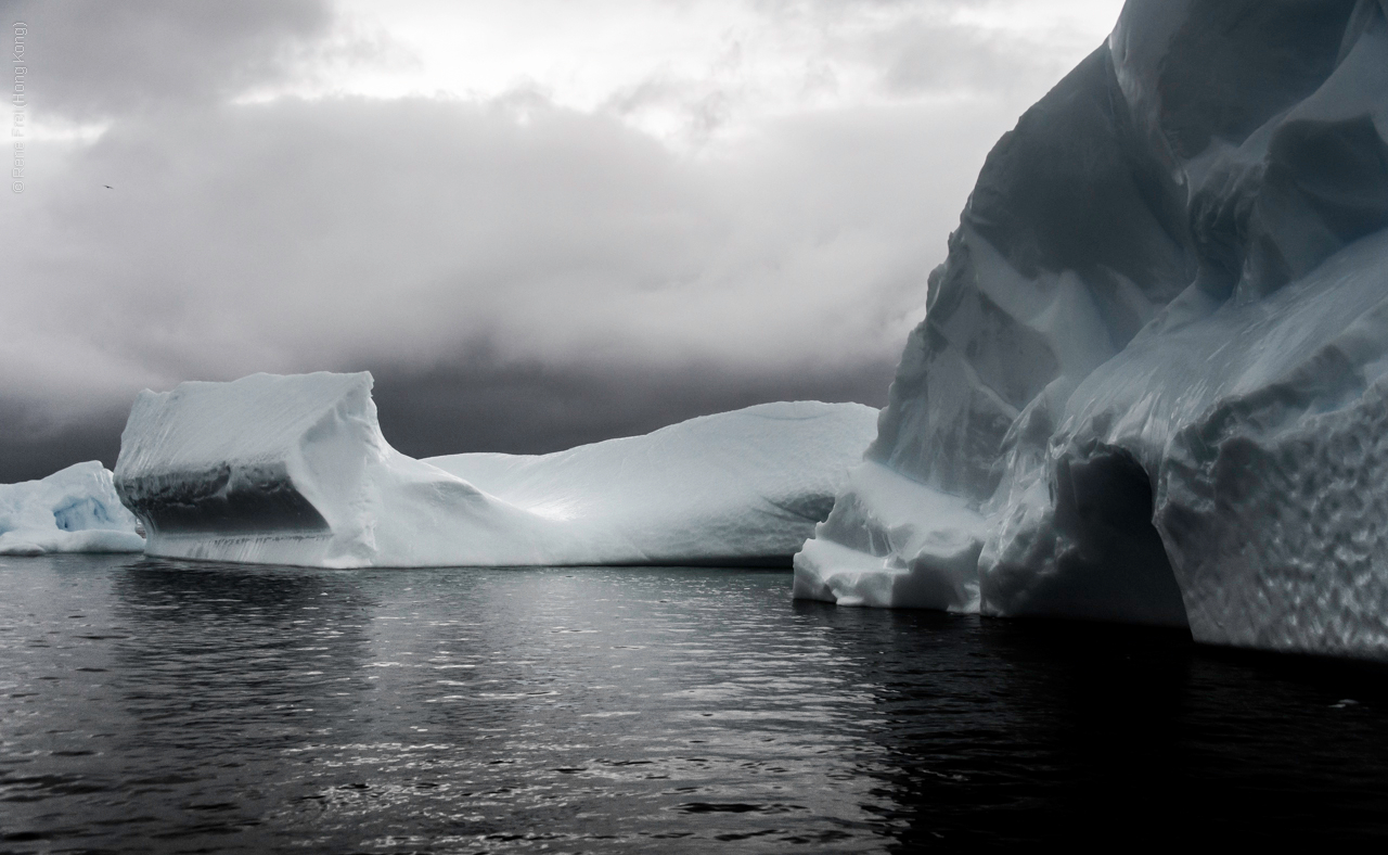 Antarctica - January 2017