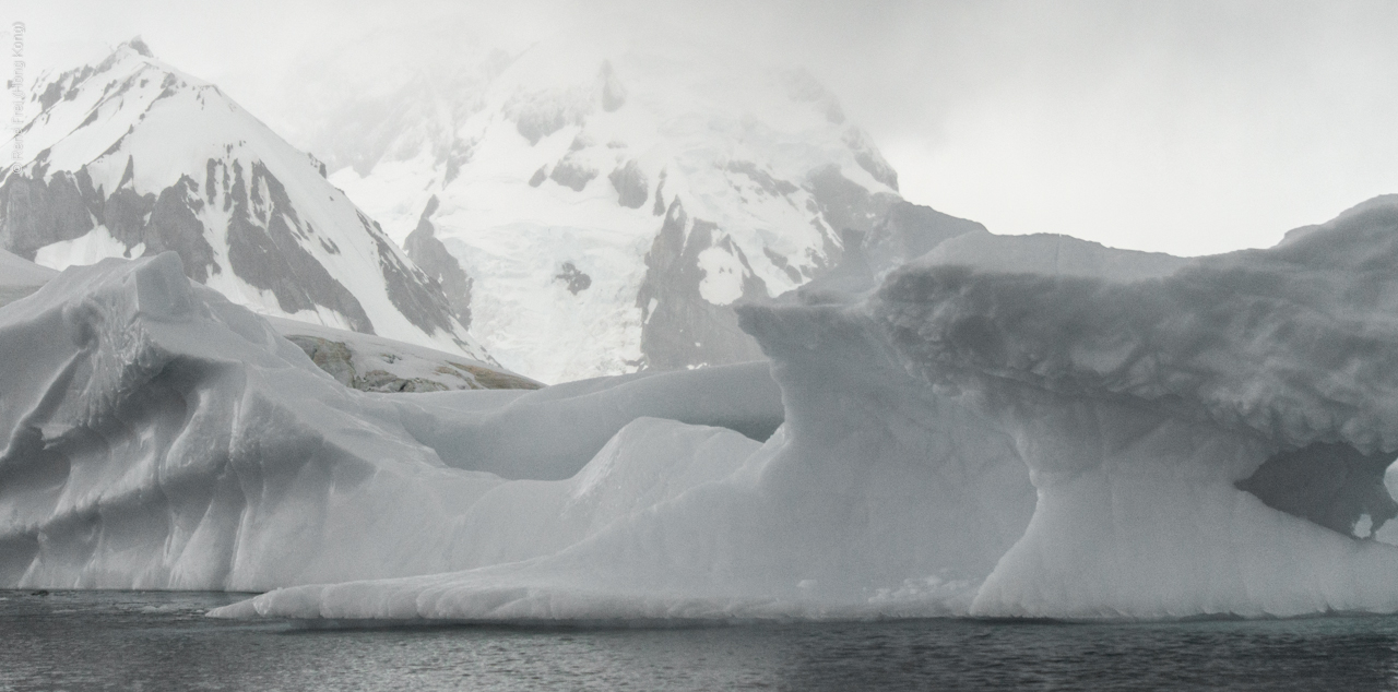 Antarctica - January 2017