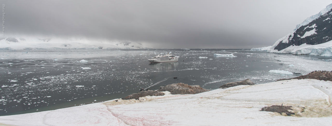 Antarctica - January 2017