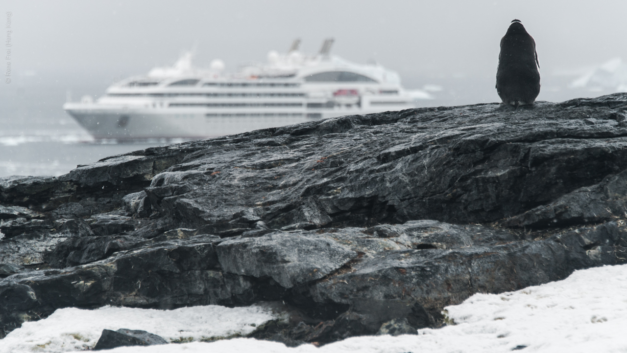 Antarctica - January 2017