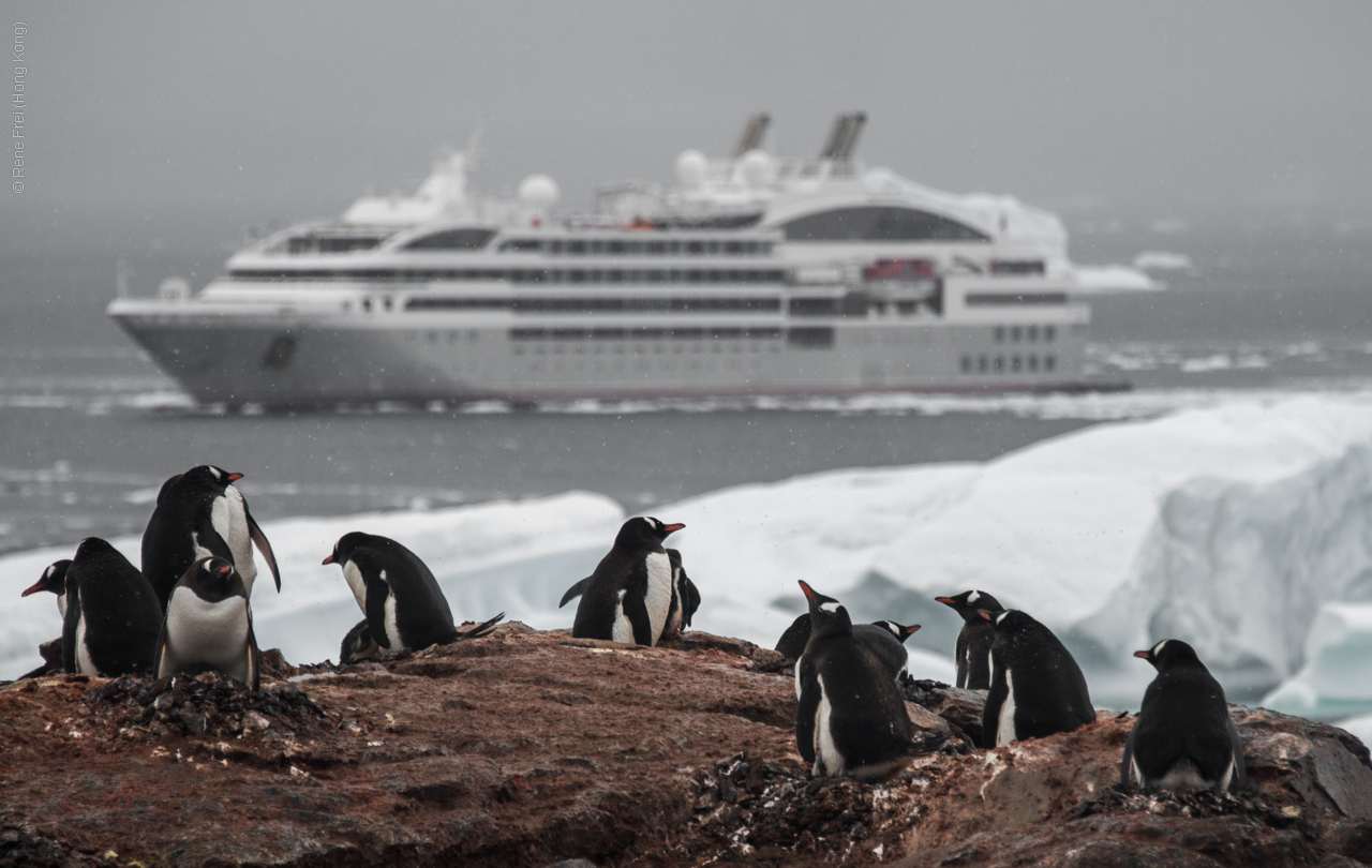 Antarctica - January 2017