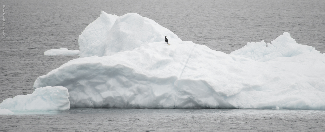 Antarctica - January 2017