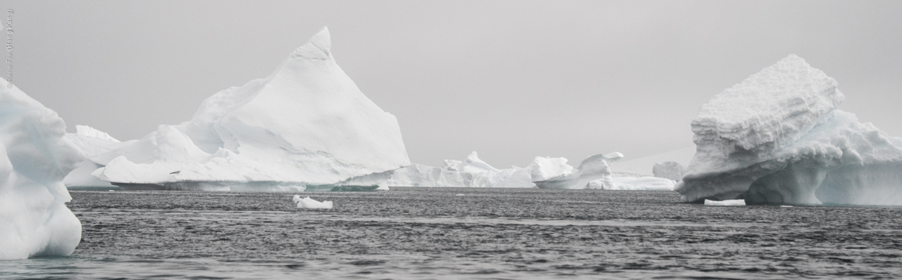 Antarctica - January 2017