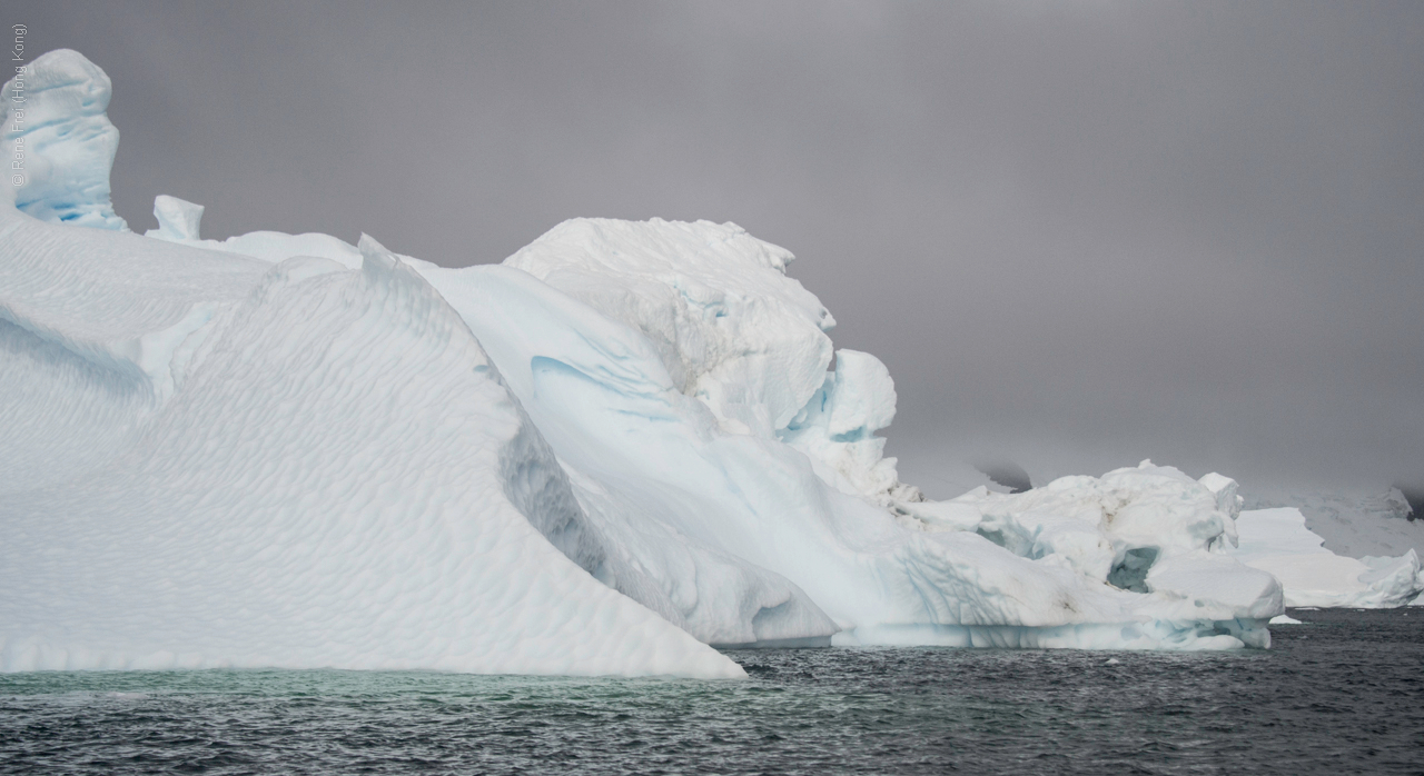 Antarctica - January 2017