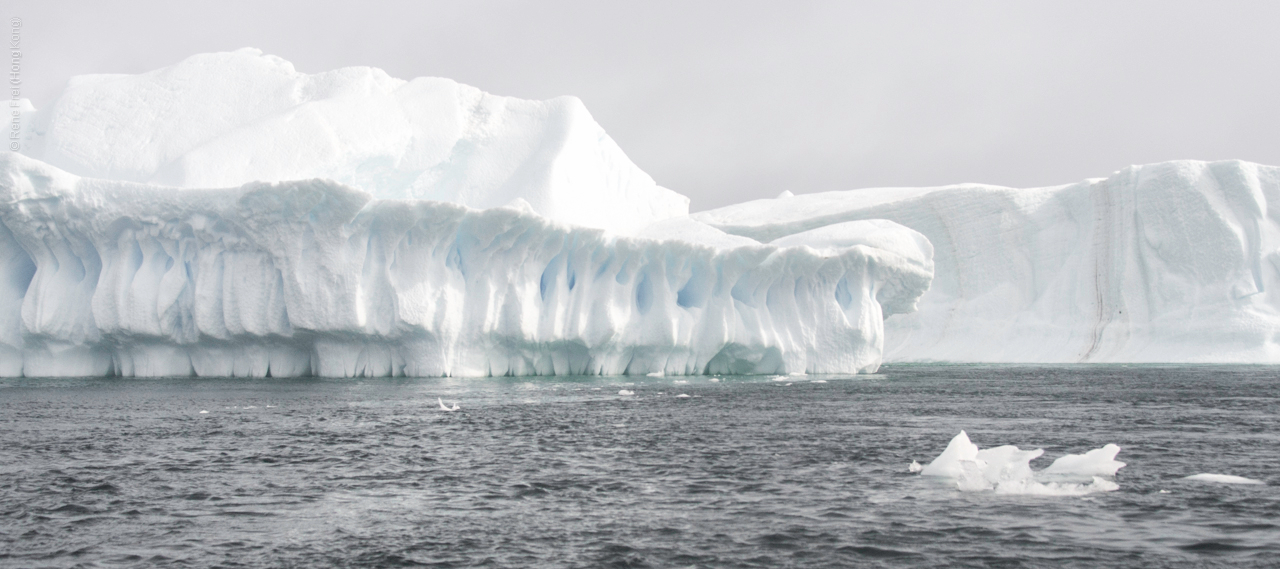 Antarctica - January 2017