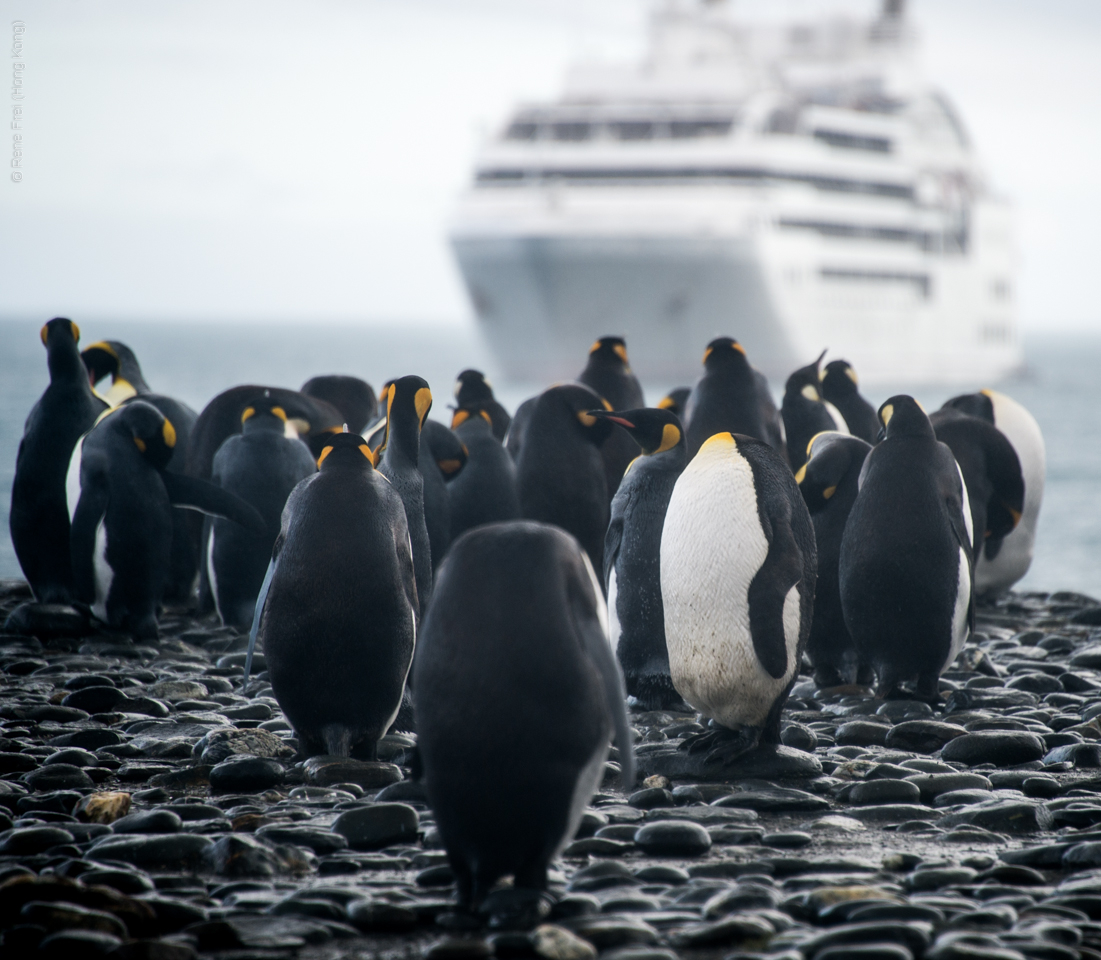 Antarctica - January 2017