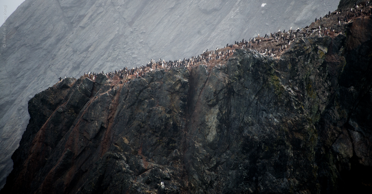 Antarctica - January 2017