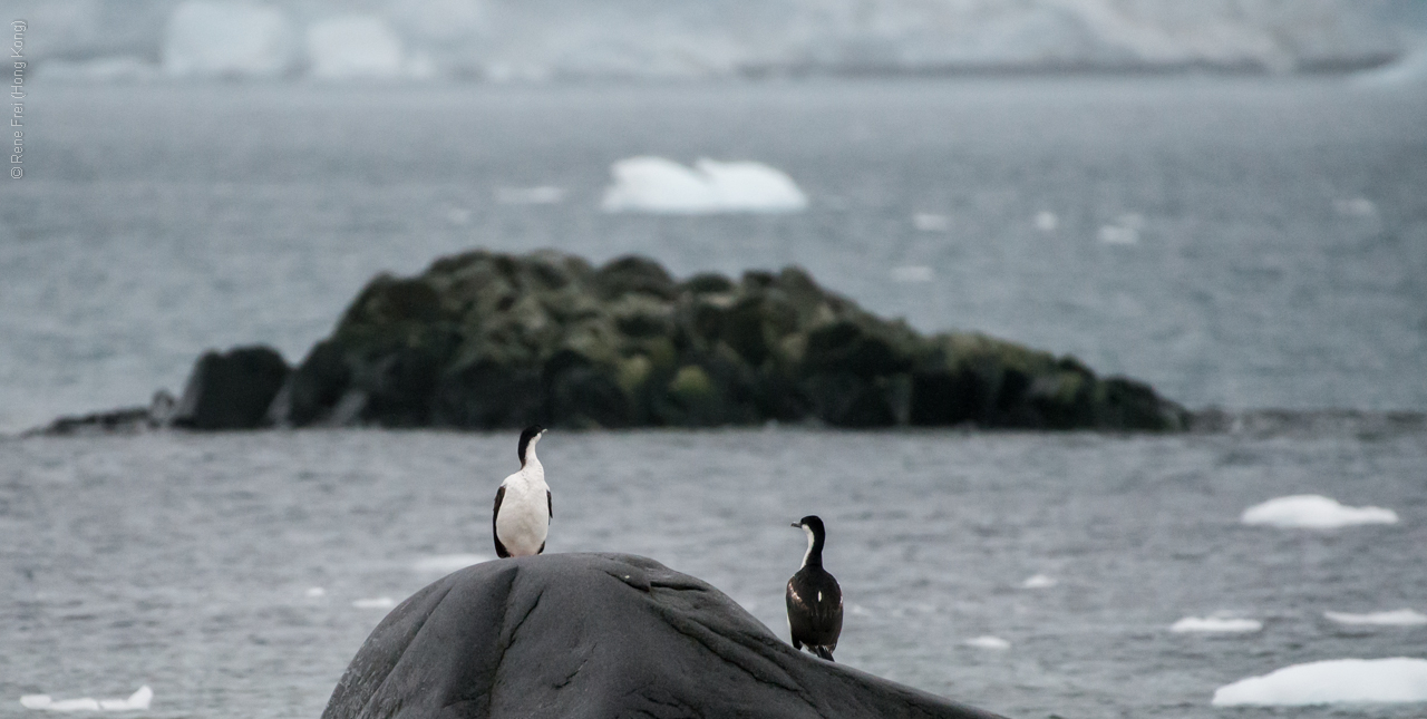 Antarctica - January 2017