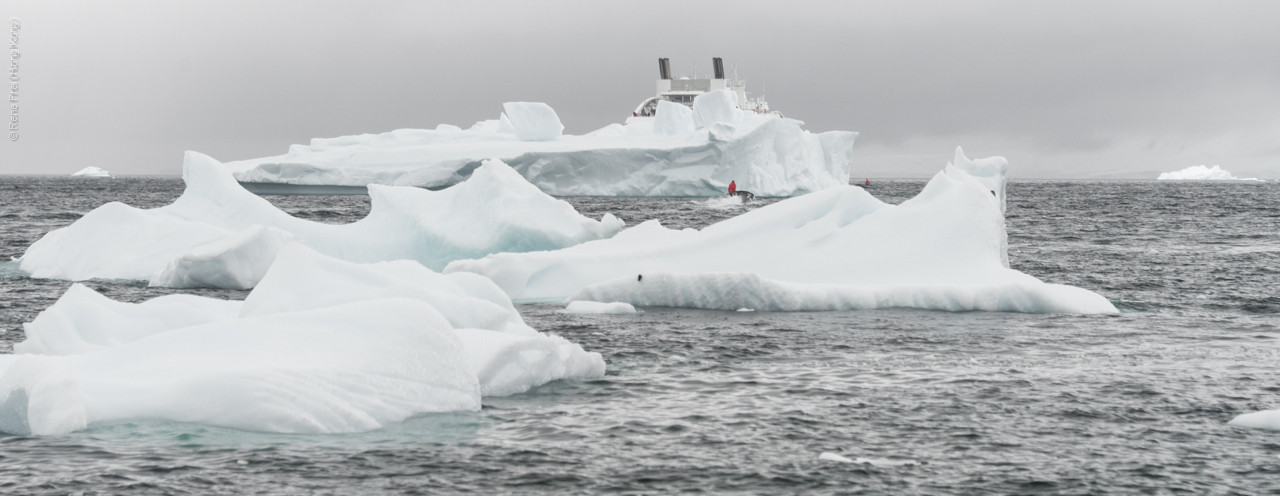 Antarctica - January 2017