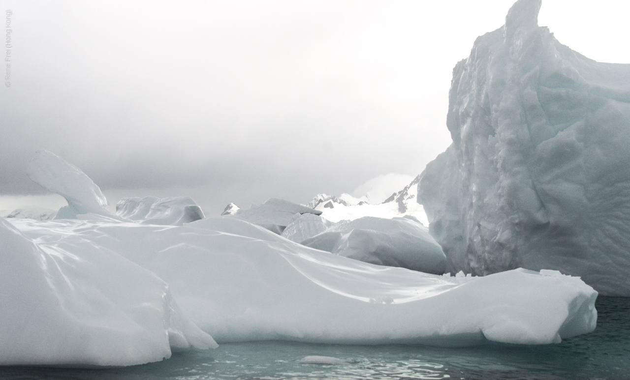 Antarctica - January 2017