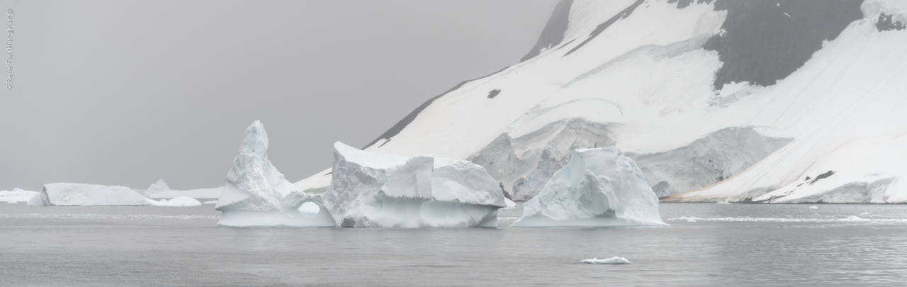 Antarctica - January 2017