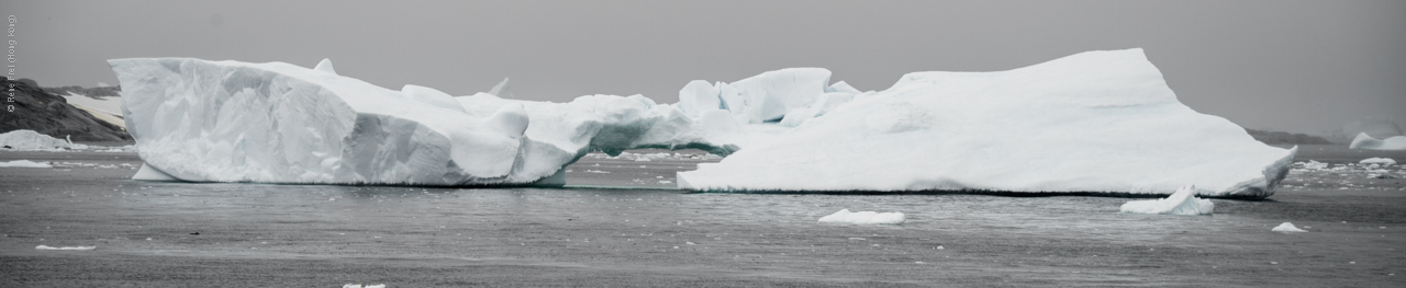 Antarctica - January 2017