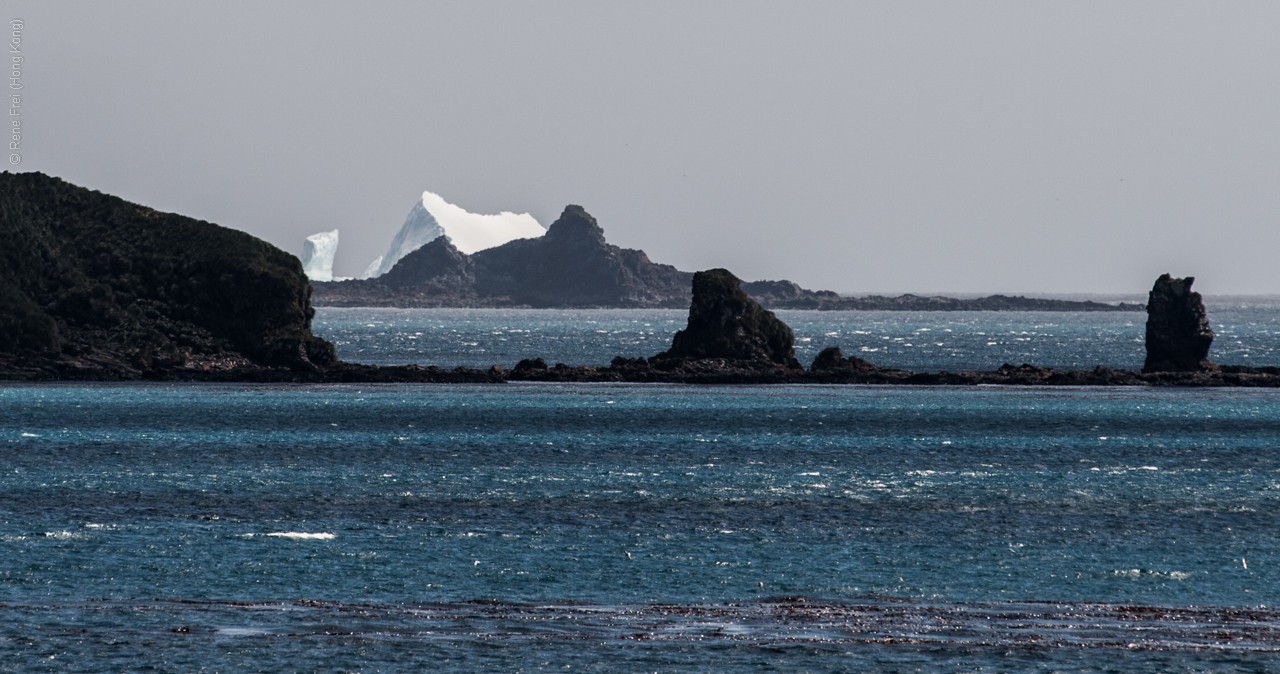 Antarctica - January 2017