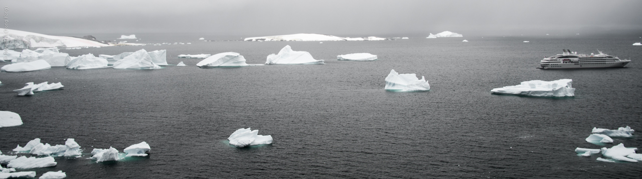 Antarctica - January 2017