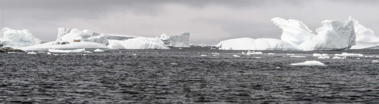 Antarctica - January 2017