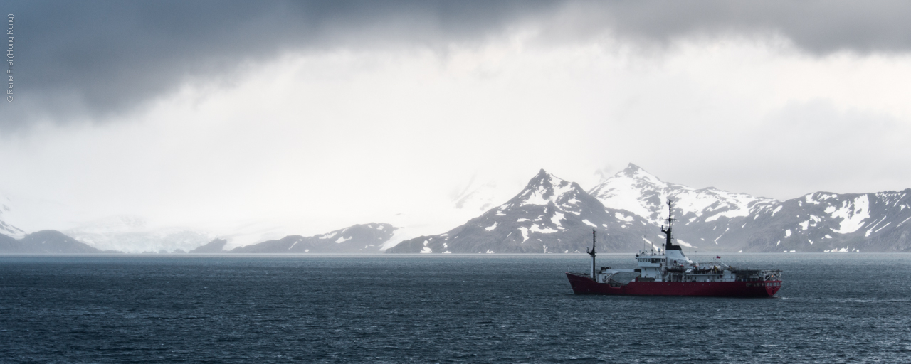 Antarctica - January 2017