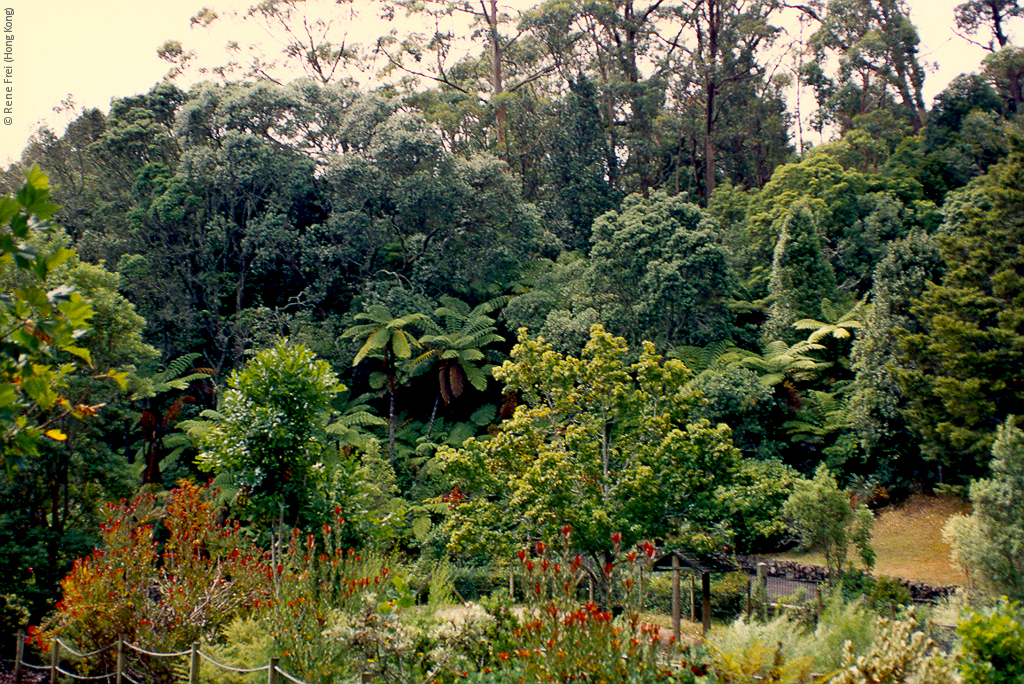 Auckland - New Zealand - early 1990's