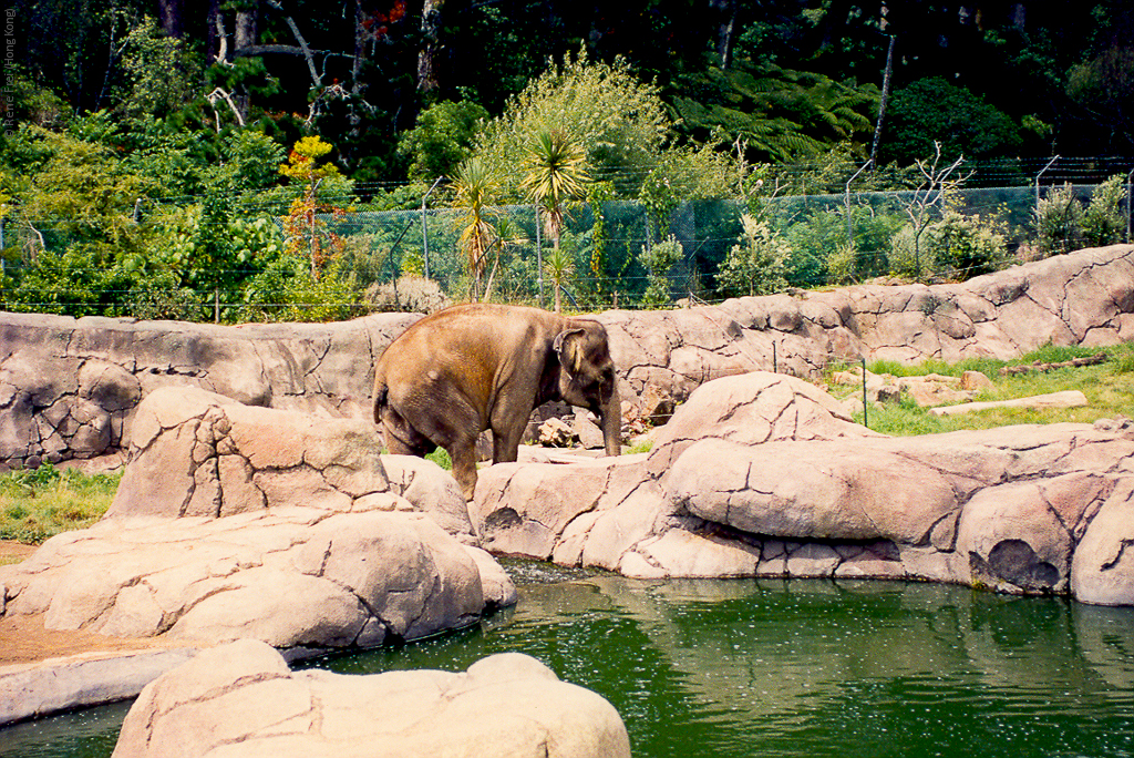 Auckland - New Zealand - early 1990's