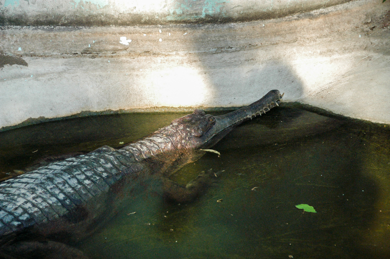 Bangkok - Thailand - 2003