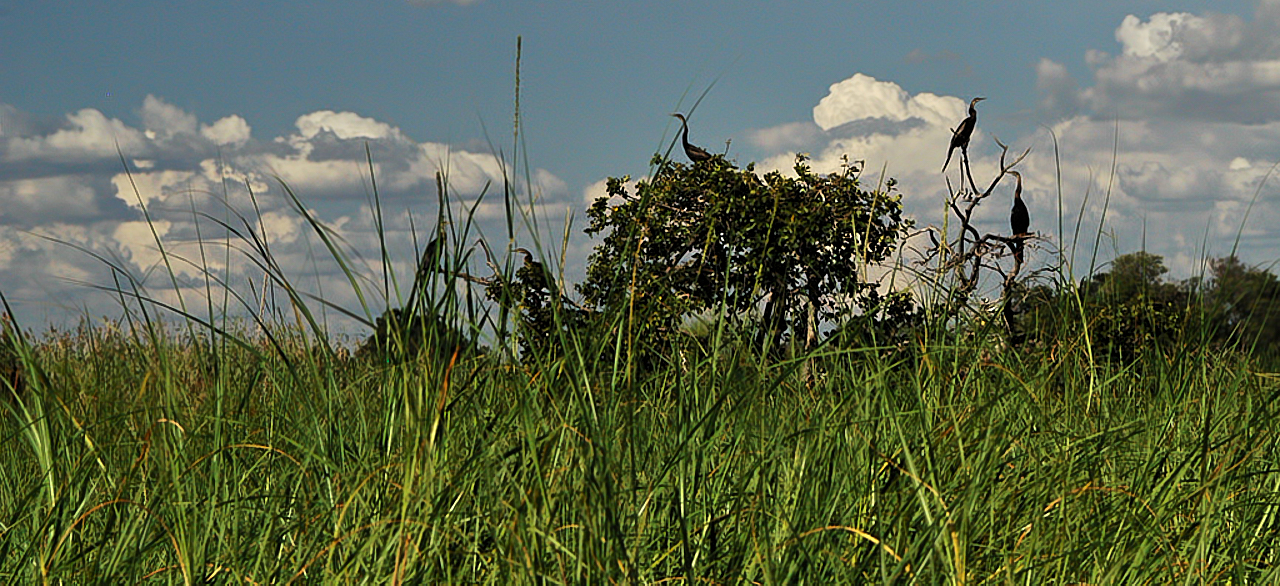 Botswana - Africa - 2008