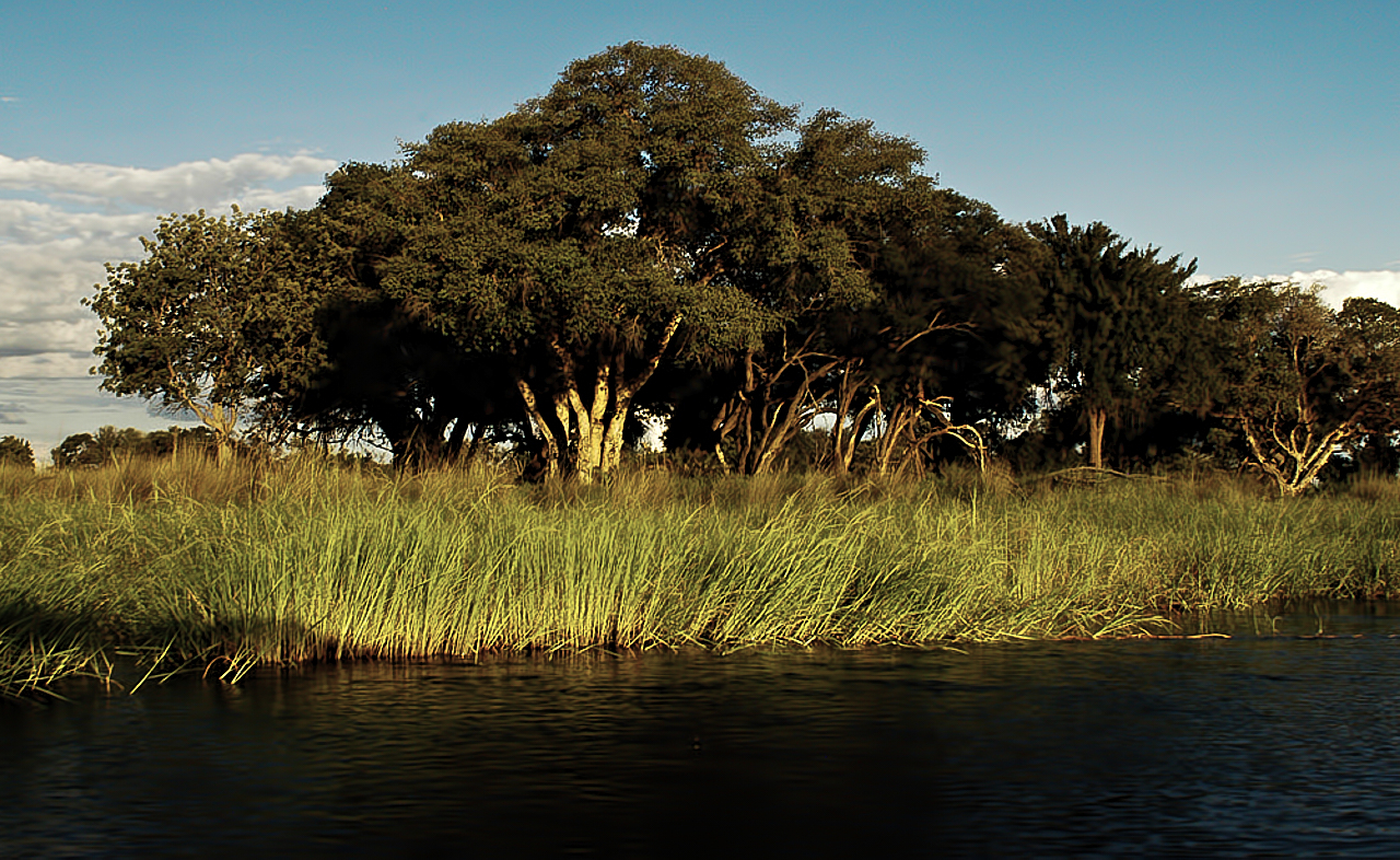 Botswana - Africa - 2008