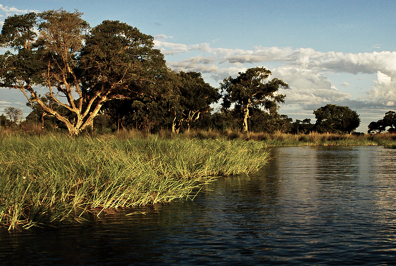 Botswana - Africa - 2008