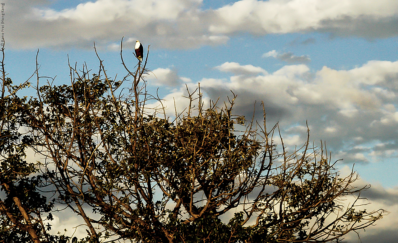 Botswana - Africa - 2008