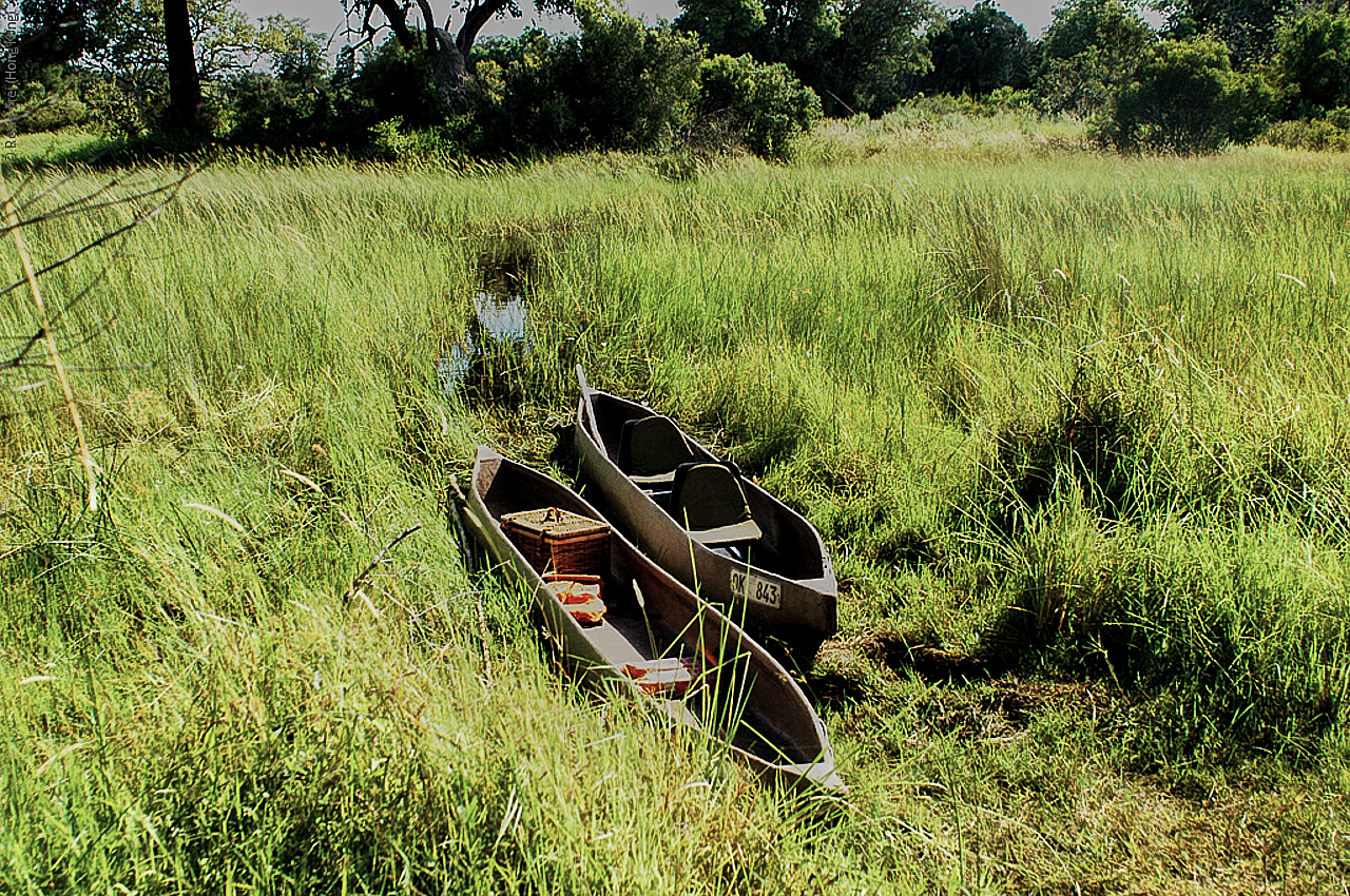 Botswana - Africa - 2008