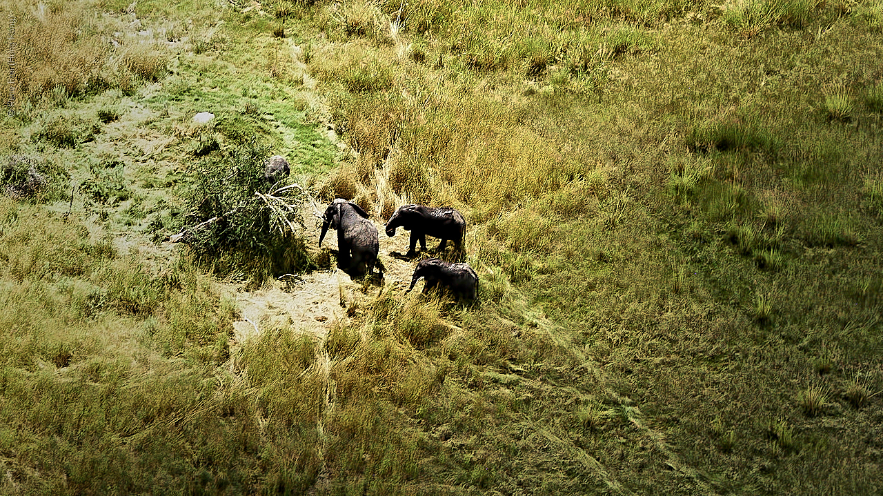 Botswana - Africa - 2008