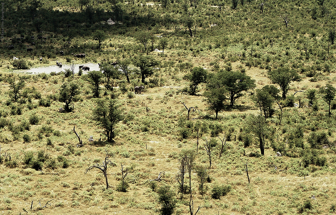 Botswana - Africa - 2008