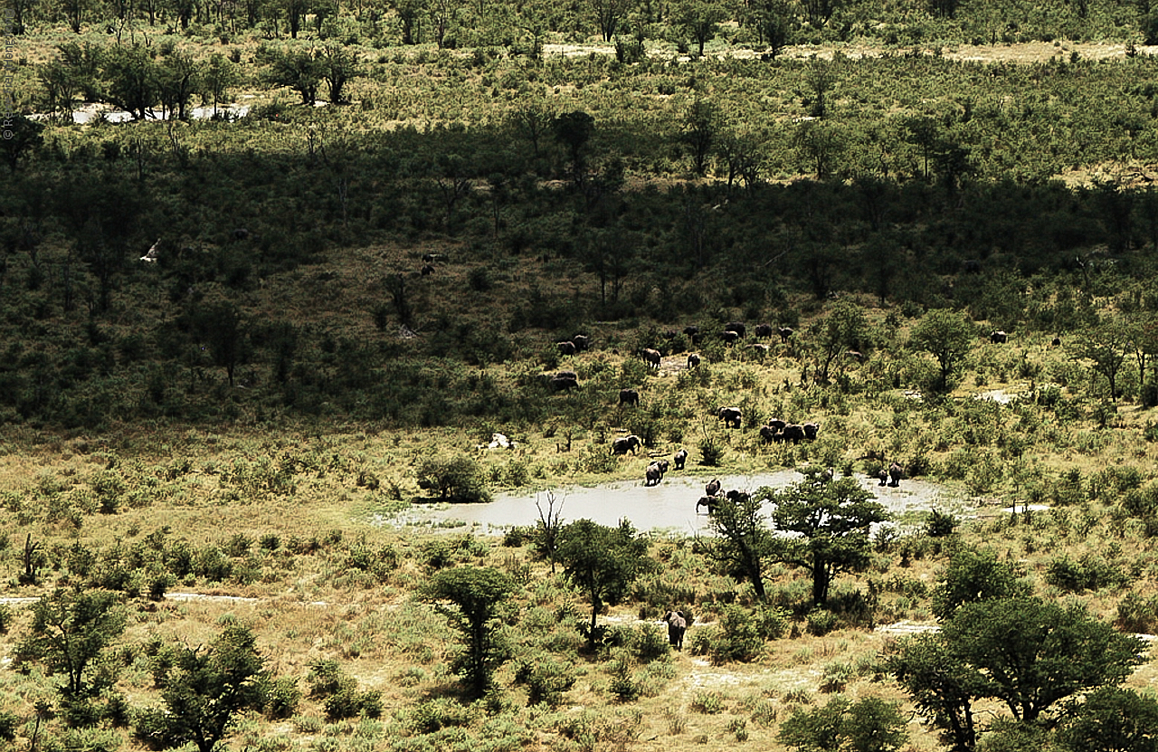 Botswana - Africa - 2008